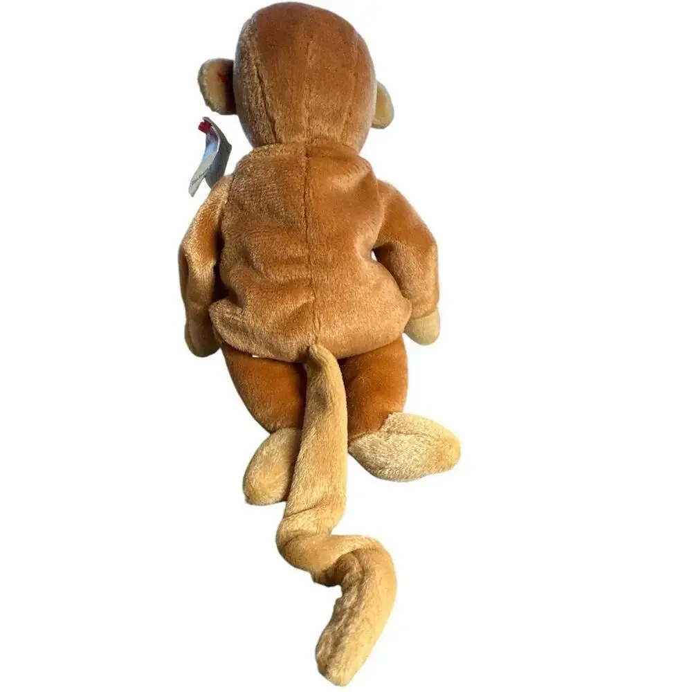 N/A bongo monkey
